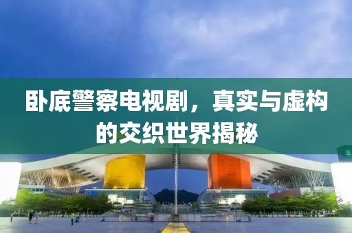 卧底警察电视剧，真实与虚构的交织世界揭秘