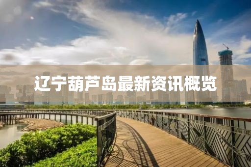 辽宁葫芦岛最新资讯概览