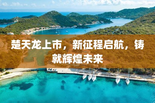 月城 第14页