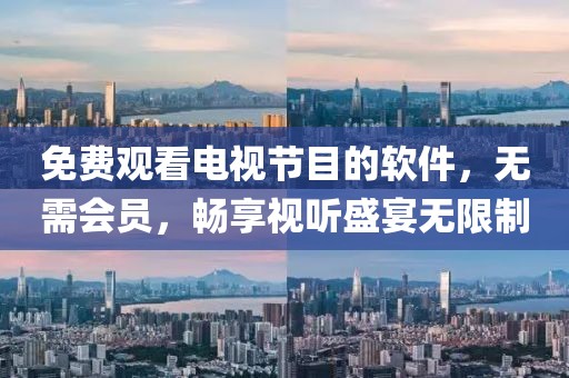 免费观看电视节目的软件，无需会员，畅享视听盛宴无限制
