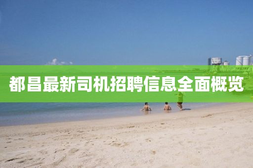 都昌最新司机招聘信息全面概览