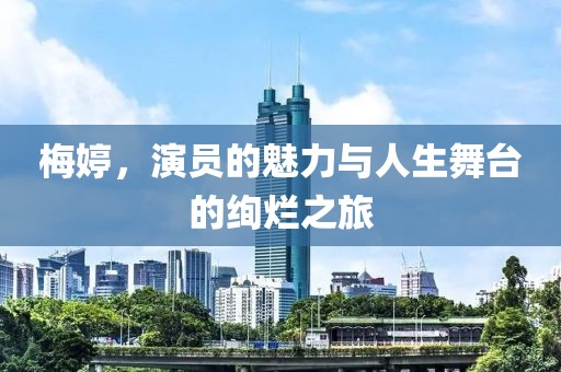 梅婷，演员的魅力与人生舞台的绚烂之旅