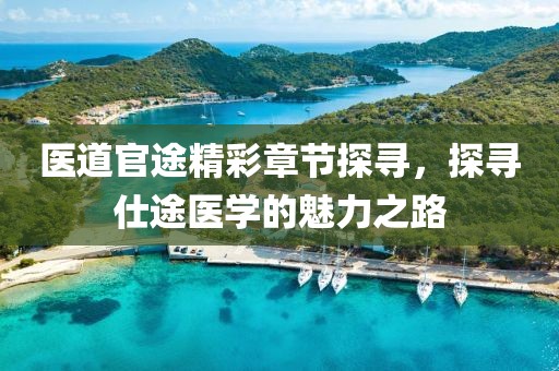 医道官途精彩章节探寻，探寻仕途医学的魅力之路