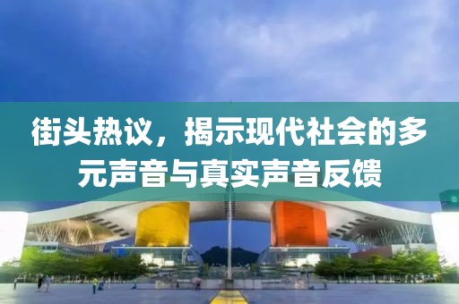 街头热议，揭示现代社会的多元声音与真实声音反馈