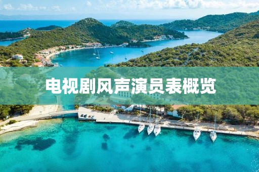 电视剧风声演员表概览