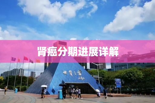 肾癌分期进展详解