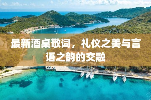 最新酒桌敬词，礼仪之美与言语之韵的交融