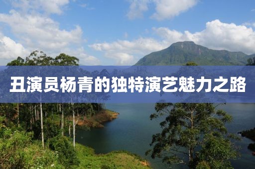 丑演员杨青的独特演艺魅力之路