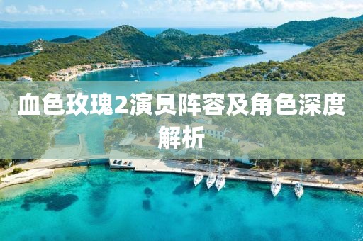血色玫瑰2演员阵容及角色深度解析
