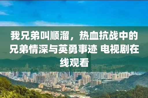 我兄弟叫顺溜，热血抗战中的兄弟情深与英勇事迹 电视剧在线观看