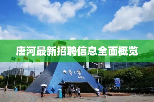 唐河最新招聘信息全面概览