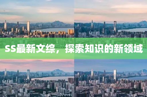 SS最新文综，探索知识的新领域