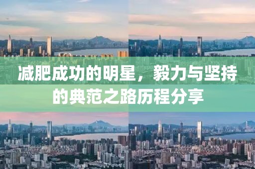 减肥成功的明星，毅力与坚持的典范之路历程分享