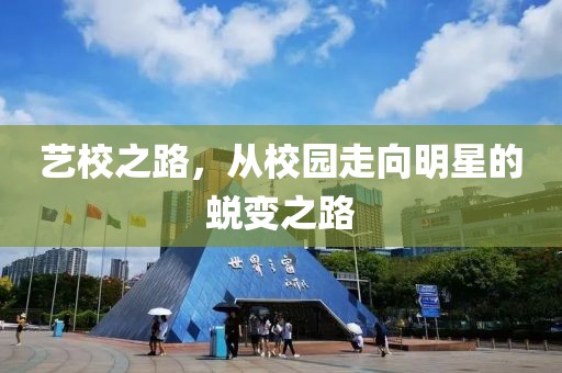 艺校之路，从校园走向明星的蜕变之路