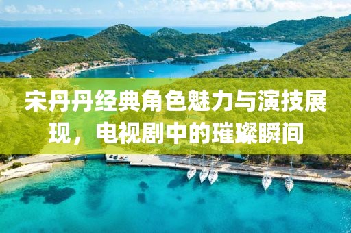 宋丹丹经典角色魅力与演技展现，电视剧中的璀璨瞬间