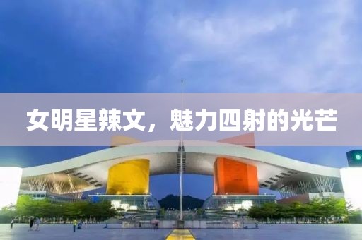女明星辣文，魅力四射的光芒