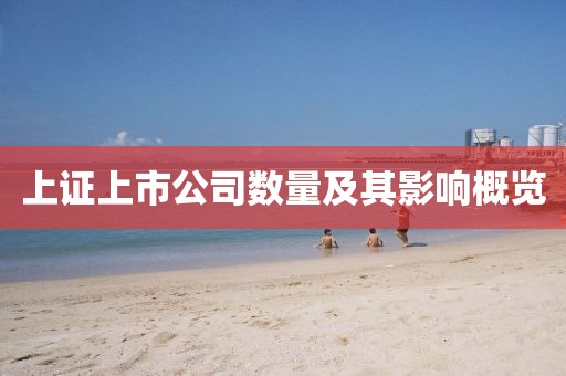 上证上市公司数量及其影响概览