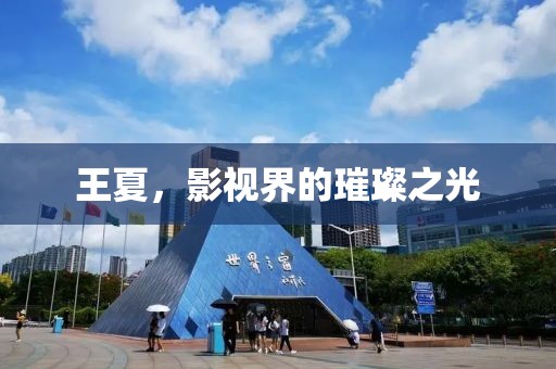 王夏，影视界的璀璨之光