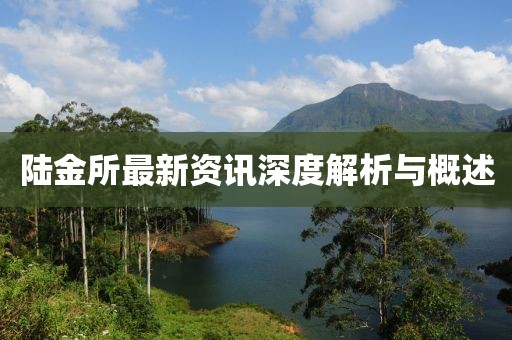 陆金所最新资讯深度解析与概述