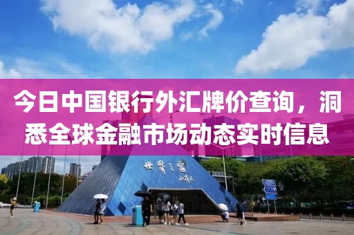 今日中国银行外汇牌价查询，洞悉全球金融市场动态实时信息
