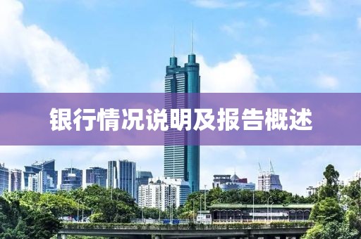 银行情况说明及报告概述