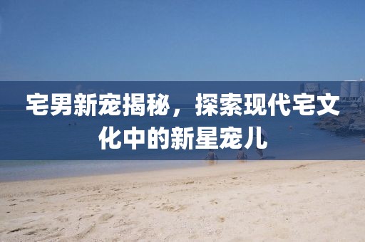 宅男新宠揭秘，探索现代宅文化中的新星宠儿