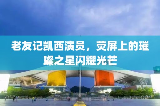 老友记凯西演员，荧屏上的璀璨之星闪耀光芒