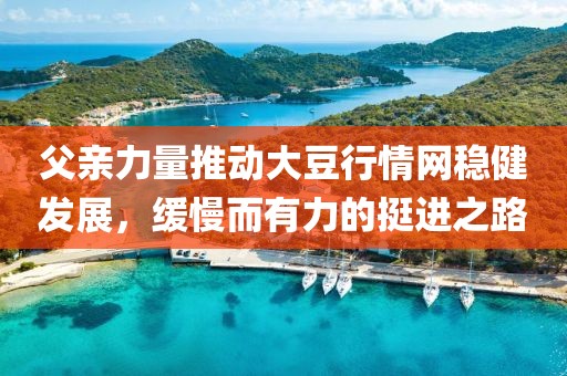 父亲力量推动大豆行情网稳健发展，缓慢而有力的挺进之路