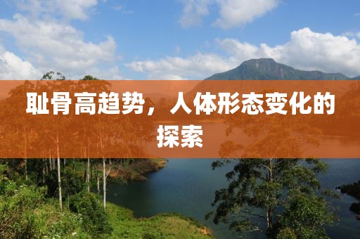 竹里风生 第5页