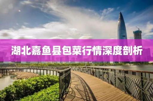 湖北嘉鱼县包菜行情深度剖析