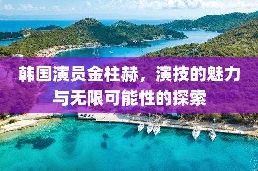 韩国演员金柱赫，演技的魅力与无限可能性的探索