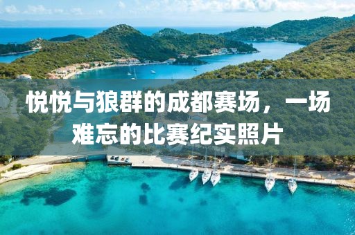 悦悦与狼群的成都赛场，一场难忘的比赛纪实照片