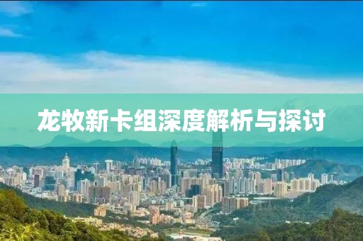 龙牧新卡组深度解析与探讨