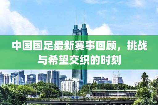 中国国足最新赛事回顾，挑战与希望交织的时刻