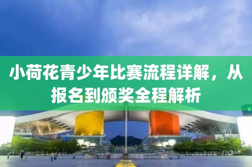 小荷花青少年比赛流程详解，从报名到颁奖全程解析