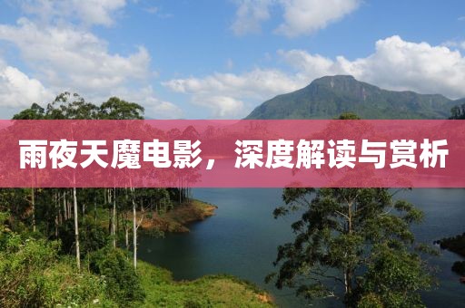 雨夜天魔电影，深度解读与赏析