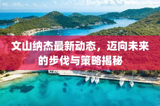 文山纳杰最新动态，迈向未来的步伐与策略揭秘
