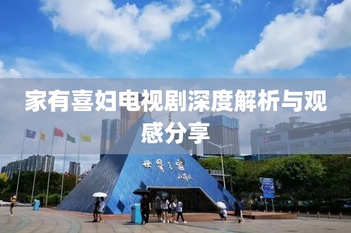 家有喜妇电视剧深度解析与观感分享