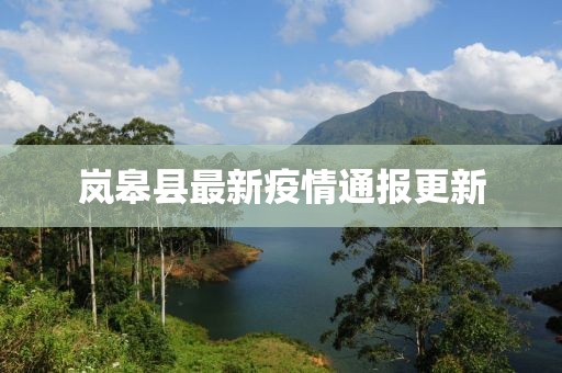 岚皋县最新疫情通报更新