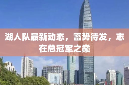 湖人队最新动态，蓄势待发，志在总冠军之巅
