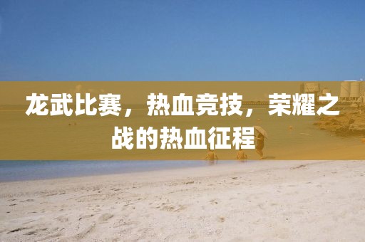龙武比赛，热血竞技，荣耀之战的热血征程