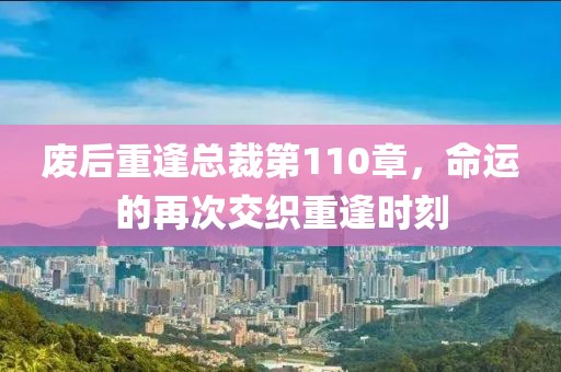 废后重逢总裁第110章，命运的再次交织重逢时刻