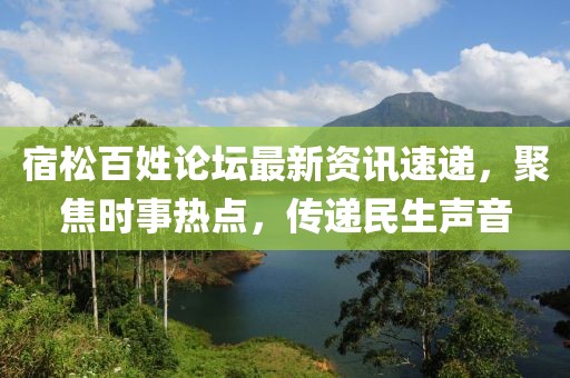 2025年3月 第331页