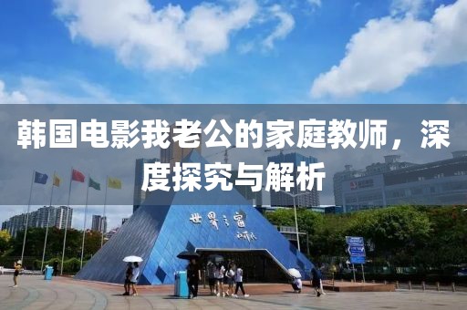 韩国电影我老公的家庭教师，深度探究与解析