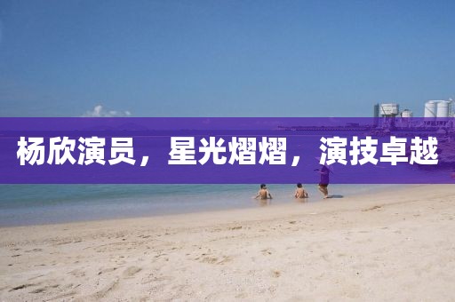杨欣演员，星光熠熠，演技卓越