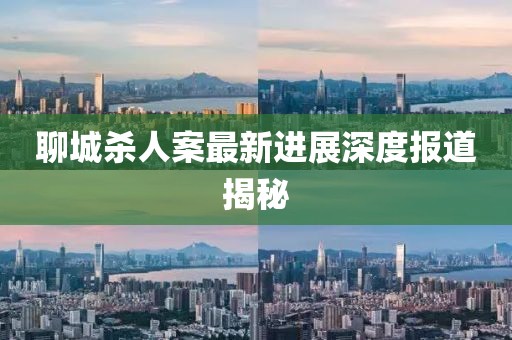 聊城杀人案最新进展深度报道揭秘