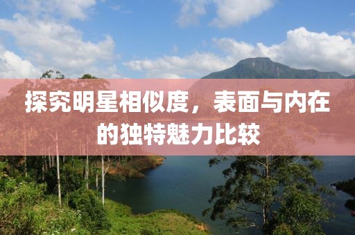 探究明星相似度，表面与内在的独特魅力比较