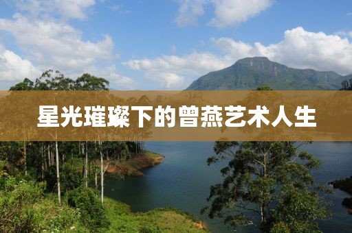 星光璀璨下的曾燕艺术人生