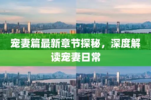 宠妻篇最新章节探秘，深度解读宠妻日常