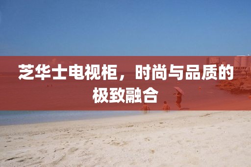 芝华士电视柜，时尚与品质的极致融合